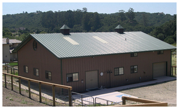 Steel Agricultural Buildings